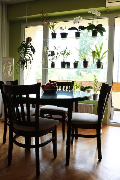 Beautiful Flat In Central Location By Flat Mаnager 索菲亞 外观 照片