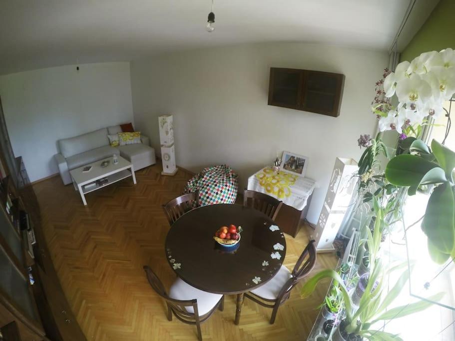 Beautiful Flat In Central Location By Flat Mаnager 索菲亞 外观 照片